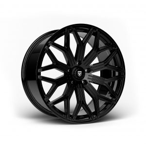RAF-006